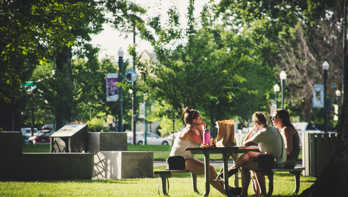 Community Parks